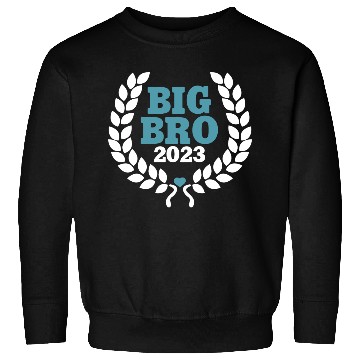 Discover Big Bro 2023 - Big Brother Baby Birth Boy Gift Sweatshirts