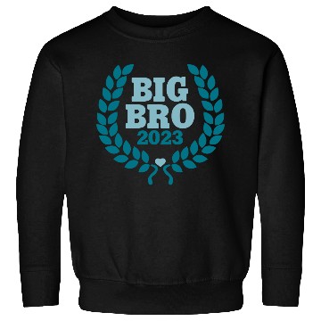 Discover Big Bro 2023 - Big Brother Baby Birth Boy Gift Sweatshirts