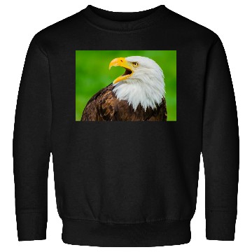 Discover Close-up Profile of a Bald Eagle Screeching Sweatshirts