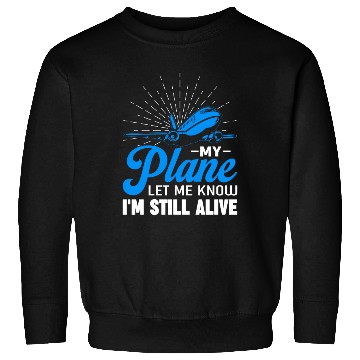 Discover Airline Pilot Pun Aircraft Pilot Sweatshirts