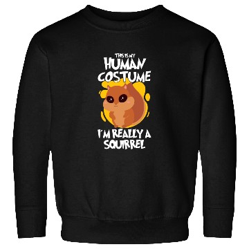 Discover Funny Squirrel Fan Squirrel Lover Chipmunk Addict Sweatshirts