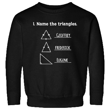 Discover Name The Triangles Math Teacher Funny Math Sweatshirts