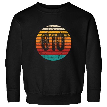 Discover Distressed Vintage Sunset 810 Area Code Sweatshirts