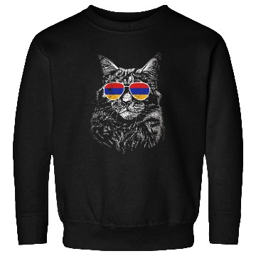 Discover Armenia Armenia sunglasses cat flag Sweatshirts