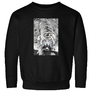 Discover Tiger Draw BW Looking Up Sweatshirts