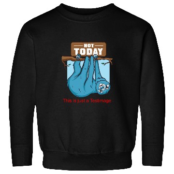 Discover Sloth - Not Today Sweatshirts
