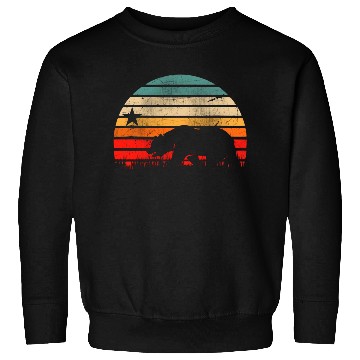 Discover California Bear Sweatshirts