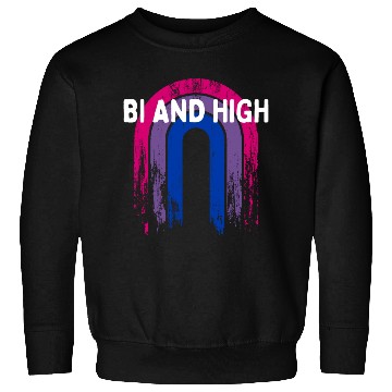 Discover Bi And High Bisexual Sayings Bi Pride Quotes LGBTQ Sweatshirts