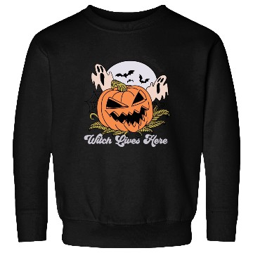 Discover Beware a Wicked Witch Lives Here Sweatshirts
