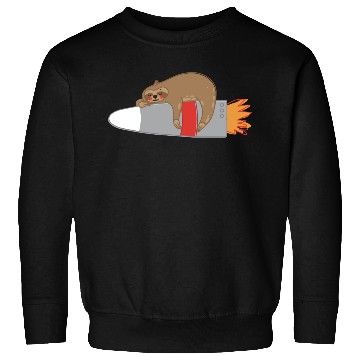 Discover A Sloth sleeping on a rocket Sweatshirts