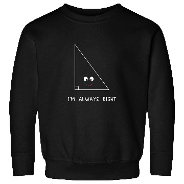 Discover Always Right Triangle - math teacher Funny Sweatshirts