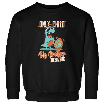 Discover Only Child Dinosaur Baby Egg 2023 Big Brother Sweatshirts
