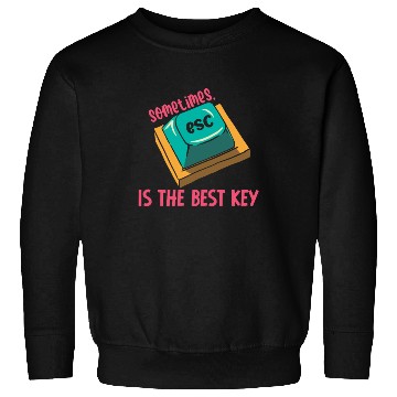 Discover Software Engineer Computer Key Programming Sweatshirts