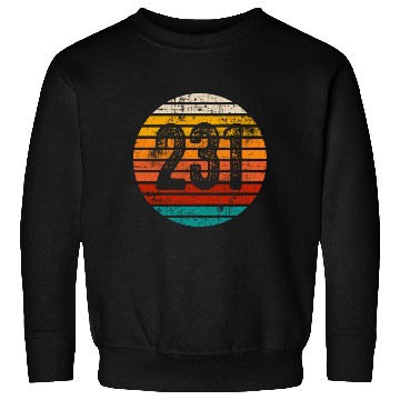 Discover Distressed Vintage Sunset 231 Area Code Sweatshirts