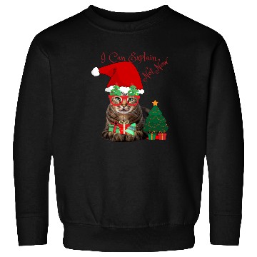 Discover Merry Xmas Sweatshirts