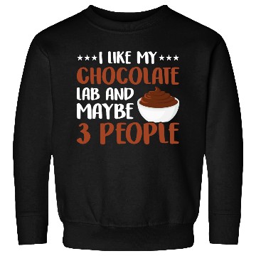 Discover I Like My Chocolate Lab And Maybe 3 People Sweatshirts
