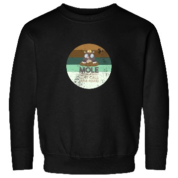Discover Chemistry Mole Problems Sweatshirts