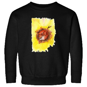 Discover Sleeping fox Sweatshirts