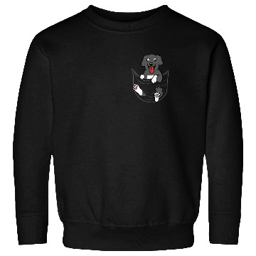 Discover Great Dane Pocket Graphic Sweatshirts