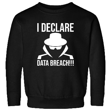 Discover Cybersecurity Computer Security Cyber Security Sweatshirts