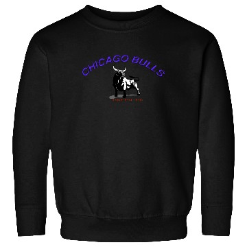 Discover CHICAGO BULLS Sweatshirts