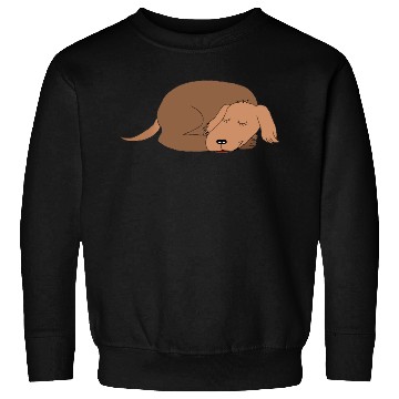 Discover let sleeping dogs lie Sweatshirts