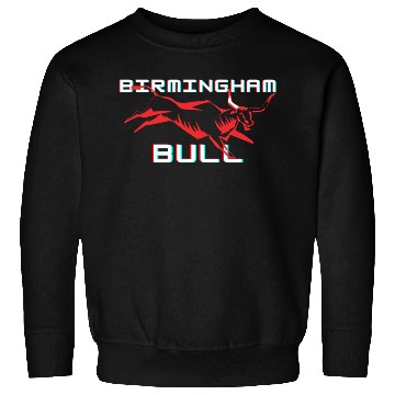 Discover Birmingham bull Sweatshirts