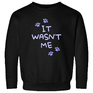 Discover It Wasn't Me Sweatshirts