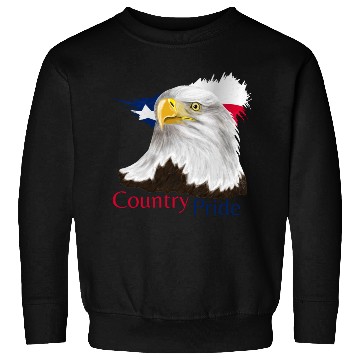 Discover Texas Eagle Sweatshirts