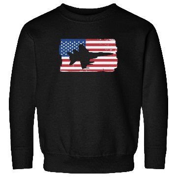 Discover F-18 Hornet Fighter Jet American Flag F18 Hornet Sweatshirts