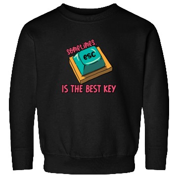 Discover Software Engineer Computer Key Programming Sweatshirts