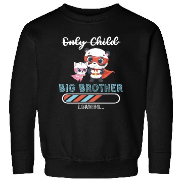 Discover Big brother super hero panda cat Sweatshirts