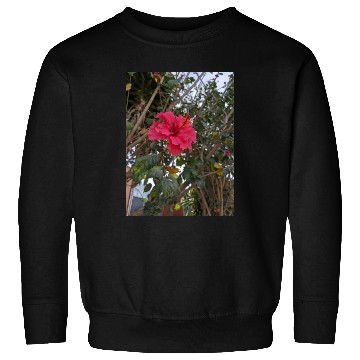 Discover Hibiscus Sweatshirts