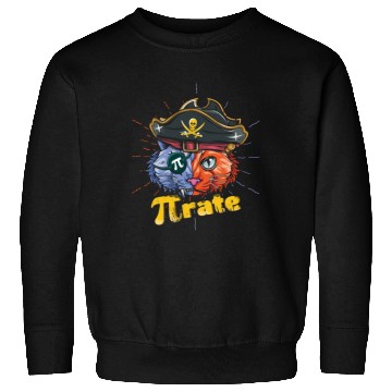 Discover Love Pi Pirate Cat Math Holiday Mathematics Pi Day Sweatshirts