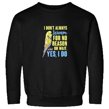 Discover I Don't Always Scream For No Reason Oh Wait Sweatshirts