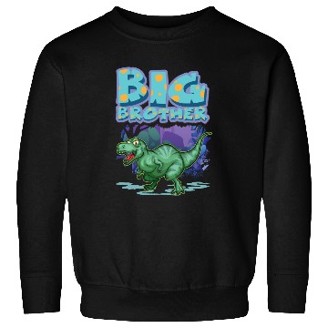 Discover Big Brother Boys Dino Lover Sweatshirts