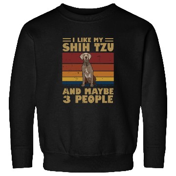 Discover I Like My Schnauzer And Maybe 3 People Sweatshirts