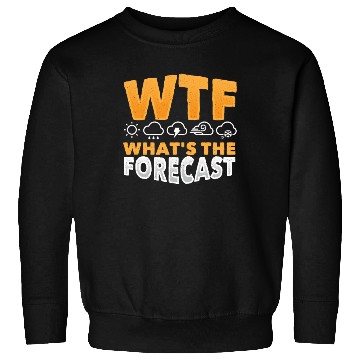 Discover WTF What's The Forecast Meteorologist Meteorology Sweatshirts