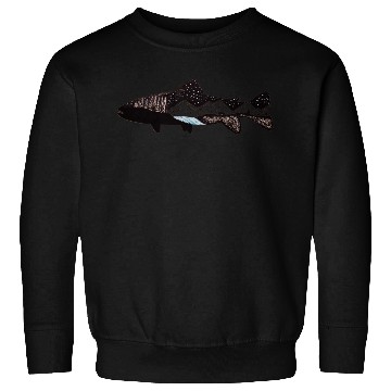 Discover Mountain Trout Sweatshirts