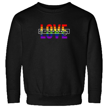 Discover Pride LGBTQ. Statement Sweatshirts