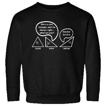 Discover Math Jokes, Nerdy Humor, I'm Always Right Math Pun Sweatshirts