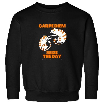 Discover Cats Lover Carpe Diem Seize The Day Sweatshirts