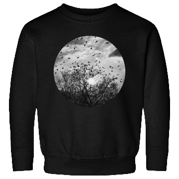 Discover Bird's dance in the sunlight Sweatshirts