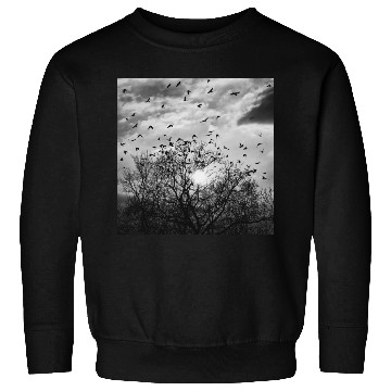 Discover Bird's flight at sunset Sweatshirts
