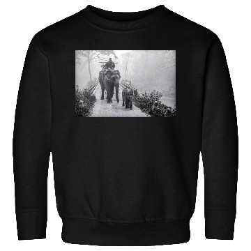 Discover Elephant Mom and Baby In Jungle Safari Sweatshirts