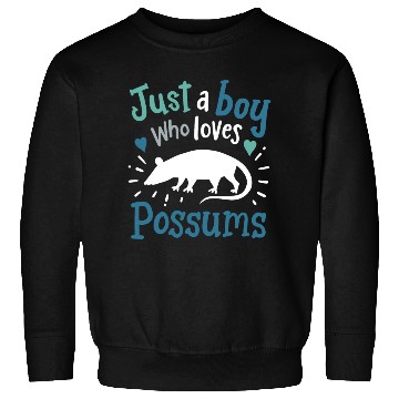 Discover Possum Possum Lover Sweatshirts