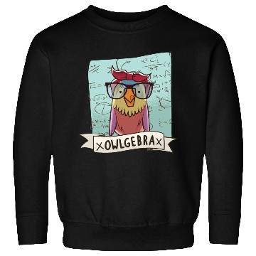 Discover Owlgebra Owl Nerd Math Teacher Sweatshirts