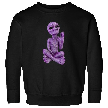 Discover Purple Stone Alien Statue Sweatshirts