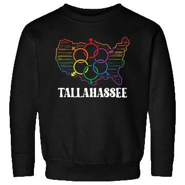Discover Tallahassee Pride Month Pride Flag LGBT Community Sweatshirts