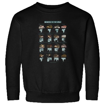 Discover Hedgehogs of the World 2 Sweatshirts